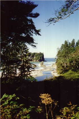 Ruby Beach, in Washington